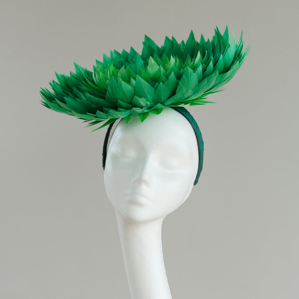 Fern
