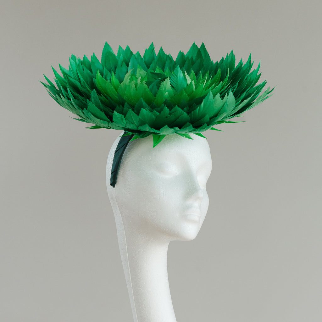 Fern