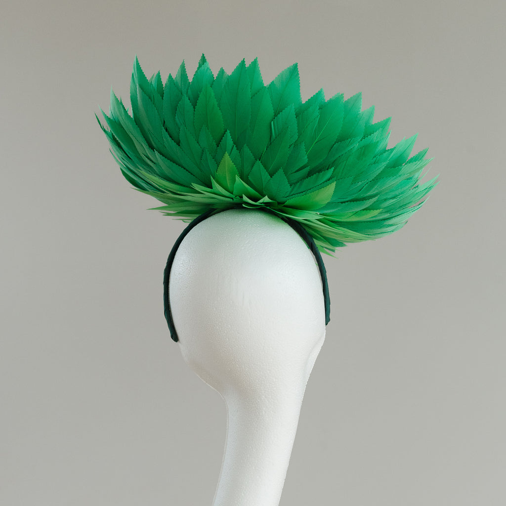Fern