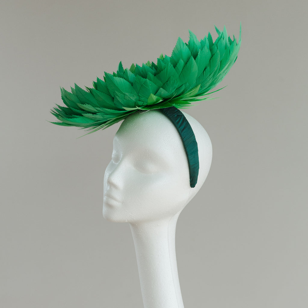 Fern